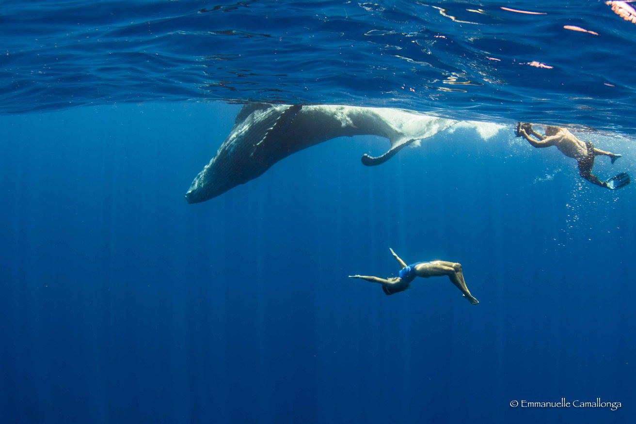 Quand une championne de natation synchronisée danse avec des baleines...
