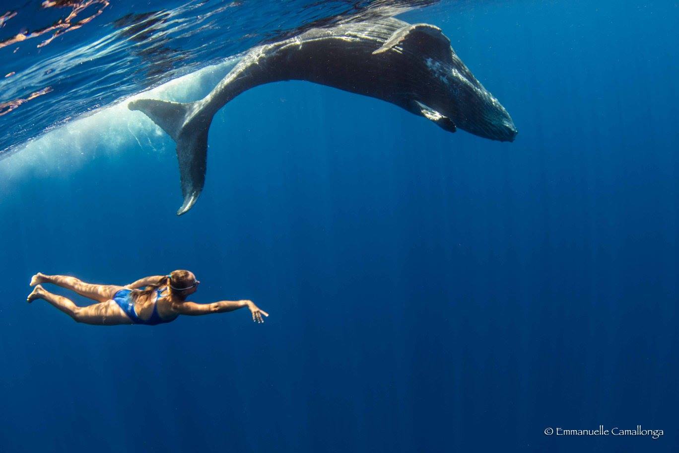 Quand une championne de natation synchronisée danse avec des baleines...