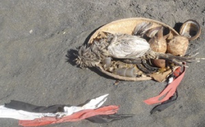Etang-Salé : Des restes de rituels détériorent la plage Etang-Salé : Des restes de rituels détériorent la plage
