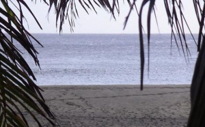 Feu vert à la plage de l'Etang-Salé