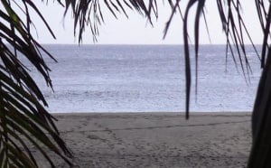 Feu vert à la plage de l'Etang-Salé Feu vert à la plage de l'Etang-Salé
