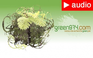 Green 974... premier moteur de recherche solidaire péï Green 974... premier moteur de recherche solidaire péï