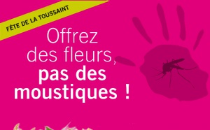 Eviter que les moustiques ne fassent des cimetières leur case favorite... Eviter que les moustiques ne fassent des cimetières leur case favorite...