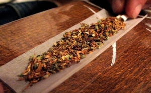 "Il n'y aura pas de dépénalisation du cannabis", affirme Matignon "Il n'y aura pas de dépénalisation du cannabis", affirme Matignon
