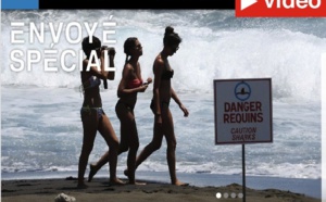 Envoyé spécial: Le reportage, la Réunion "L'île aux requins", très critiqué sur les réseaux sociaux Envoyé spécial: Le reportage, la Réunion "L'île aux requins", très critiqué sur les réseaux sociaux