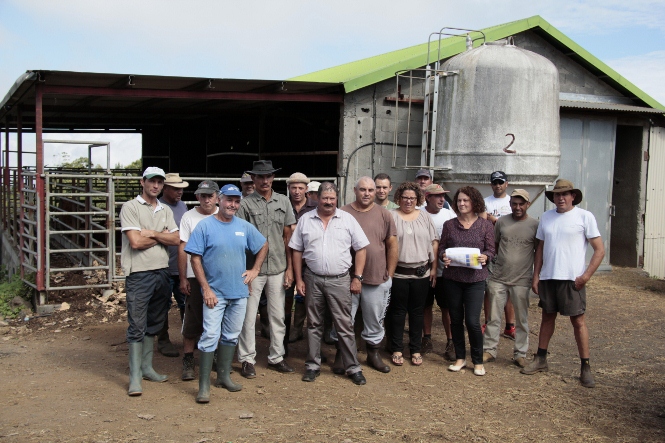 Les éleveurs de la Plaine des Cafres dénoncent les prix pratiqués par les vétérinaires