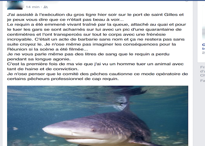Facebook Sea Shepherd Ile de La Réunion- Officiel