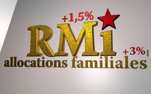 Le RMI et les allocations familiales vont augmenter en 2009