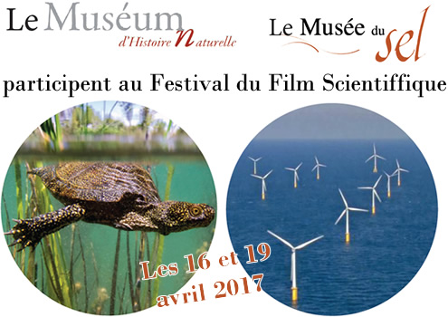 Festival du film scientifique 2017 au Muséum et au Musée du Sel les 16 et 19 avril 2017
