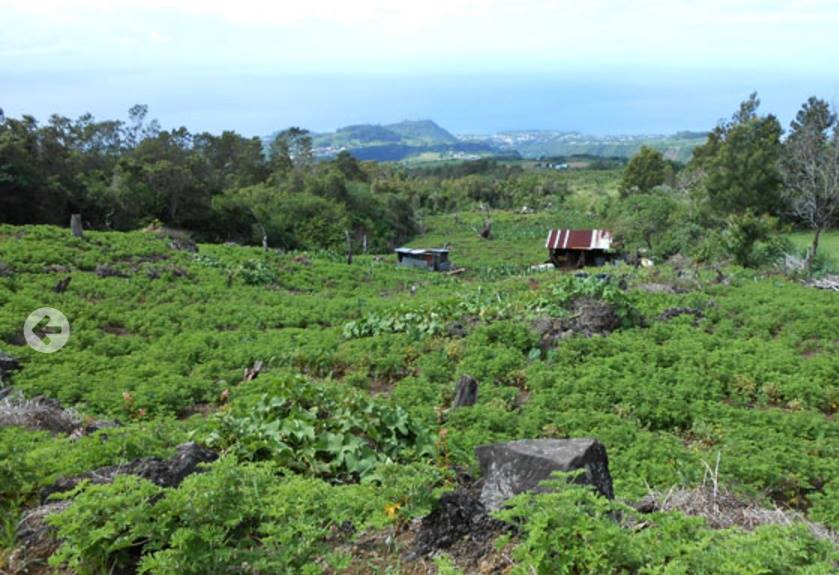 Parc national de la Réunion, le changement c'est quand ?