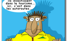 Premier trimestre 2009 : L'Ile Maurice attire toujours autant les touristes français (dessin)
