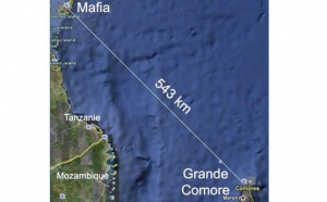 Crash A310 : Des corps retrouvés près des côtes Tanzaniennes?