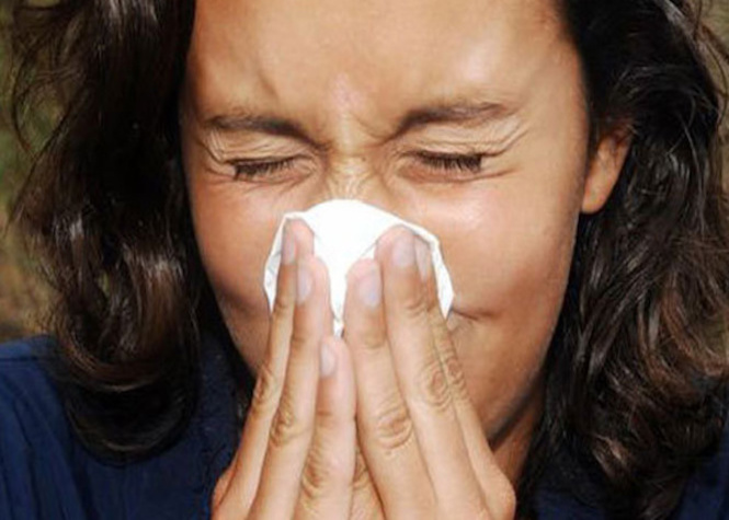Grippe: 32.000 consultations et 5 décès depuis le début de l'épidémie