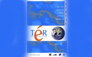 Le Tableau Économique de La Réunion édition 2010 est publié