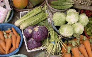 Mars 2010 : Hausse du prix des légumes