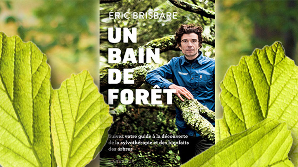 Les forêts réunionnaises inspirent un ouvrage 