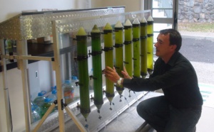 Energie des micro-algues : Un accord signé entre Bioalgostral et IGV