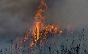 Dramatiques feux de forêt en Russie