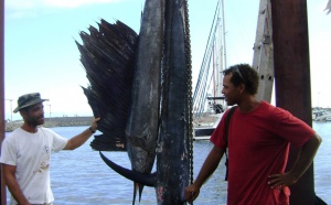 Concours de pêche au gros par les Amis de la mer