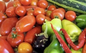 Le prix des fruits et légumes risque de flamber dès le mois prochain