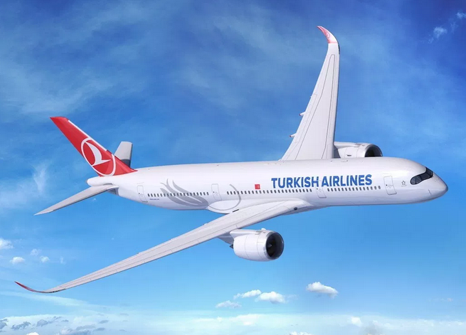 Une hôtesse de l'air a la jambe cassée dans des turbulences sur un vol de Turkish Airlines
