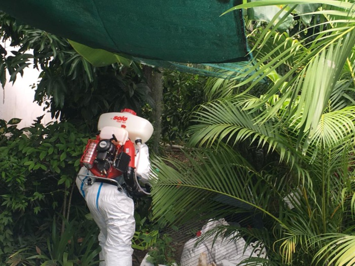 Dengue à La Réunion : Plus de 500 cas confirmés en une semaine, des renforts nationaux prévus