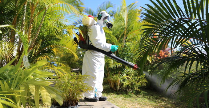 Dengue : 50 militaires de la sécurité civile en renfort à La Réunion
