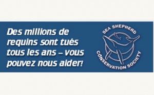 Sea Shepherd ouvre une antenne à la Réunion