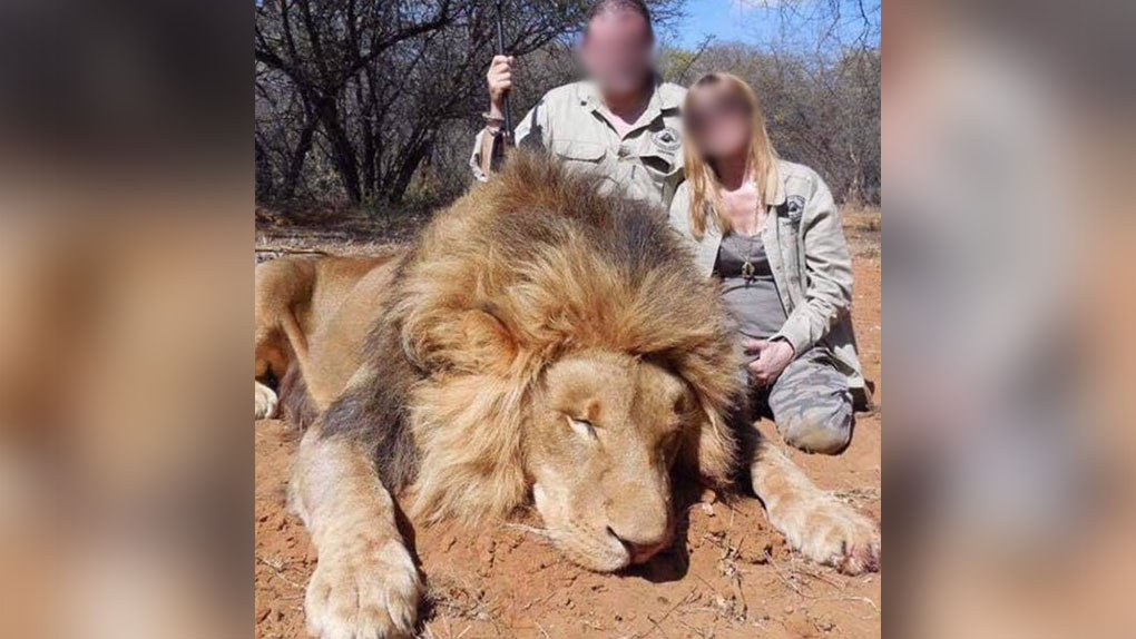 📷 Après la diffusion des photos de leur safari de chasse, les propriétaires d’un Super U démissionnent