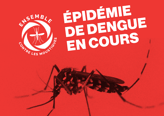 ARS : Point sur la dengue à La Réunion