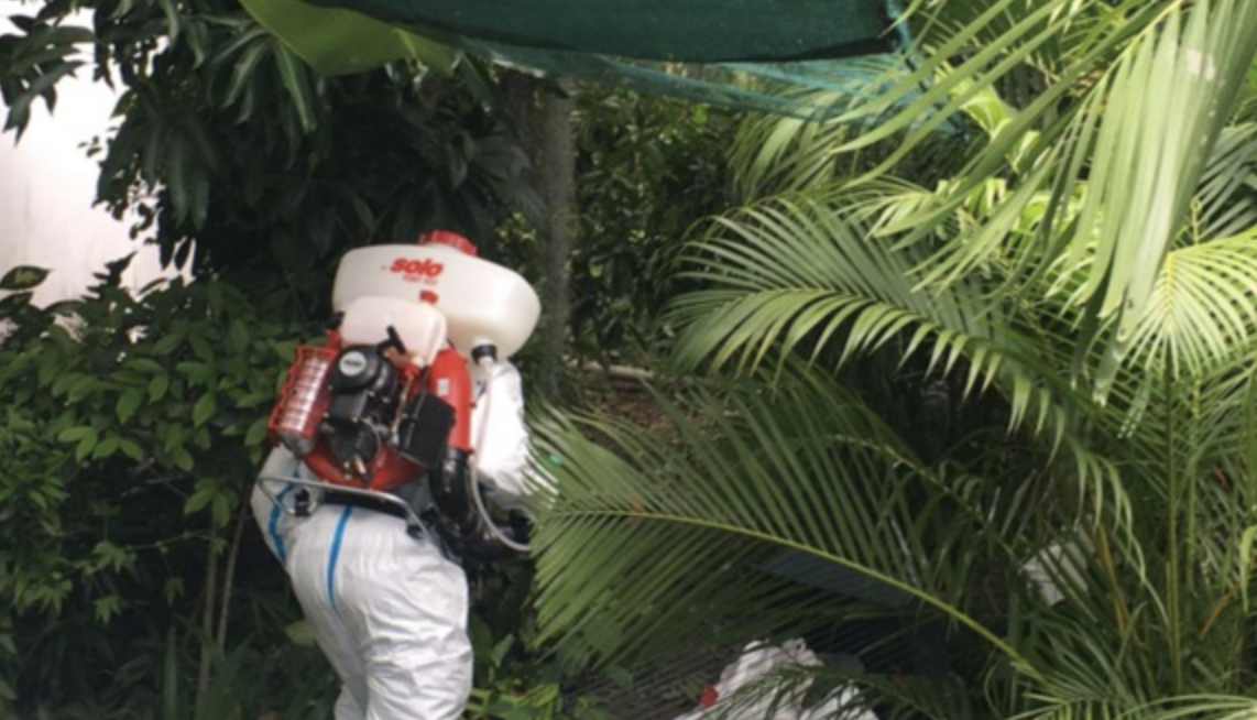 ​Dengue à La Réunion : le nombre de cas signalés continue d’augmenter