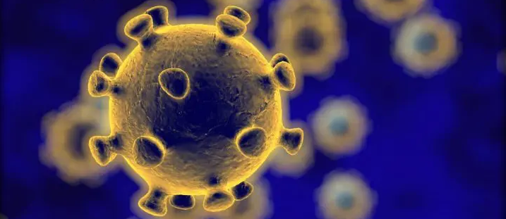 Coronavirus : Un 4ème cas confirmé en France