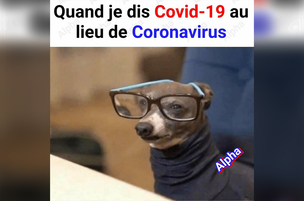 Les mèmes du moment sur le coronavirus et le confinement ☣- Partie 2