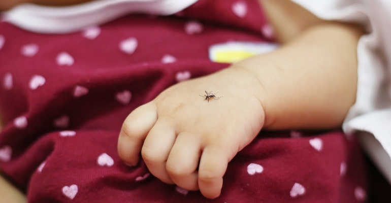 751 cas de dengue confirmés à La Réunion