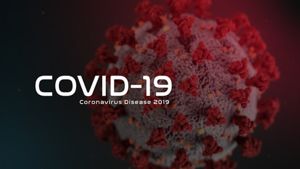 Covid-19 en France: 131 décès en 24h, 28239 morts depuis le début de l'épidémie