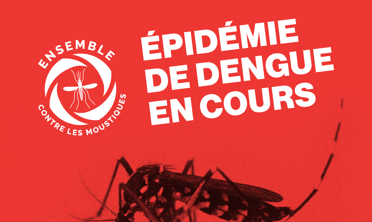 L’épidémie de dengue se poursuit : l’hiver austral s’installe, restons vigilants !