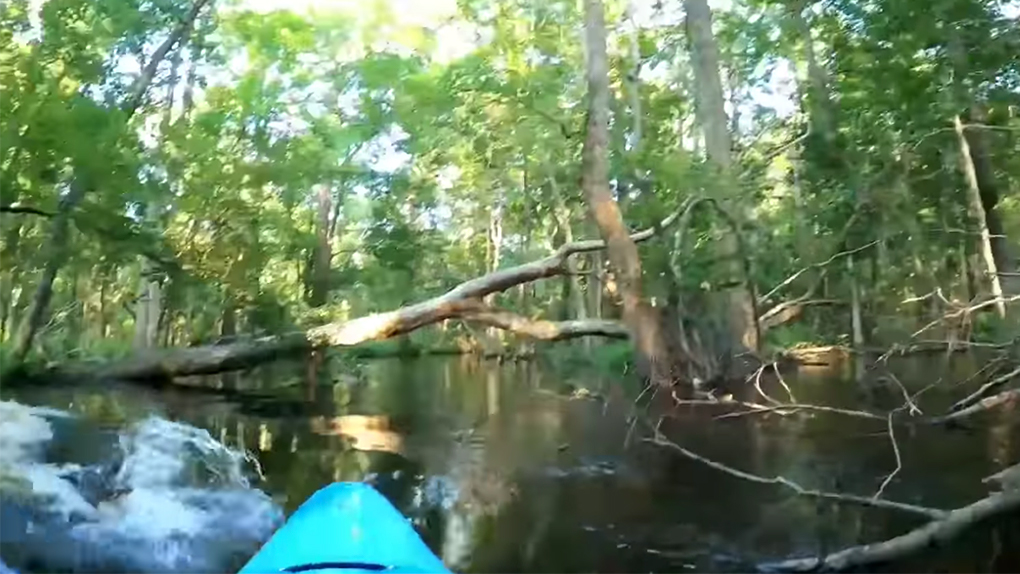 Vidéo : Un kayakiste se fait charger par un alligator
