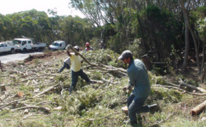 Maïdo: L'ONF ouvre 15km de pistes pour atteindre le bois exploitable
