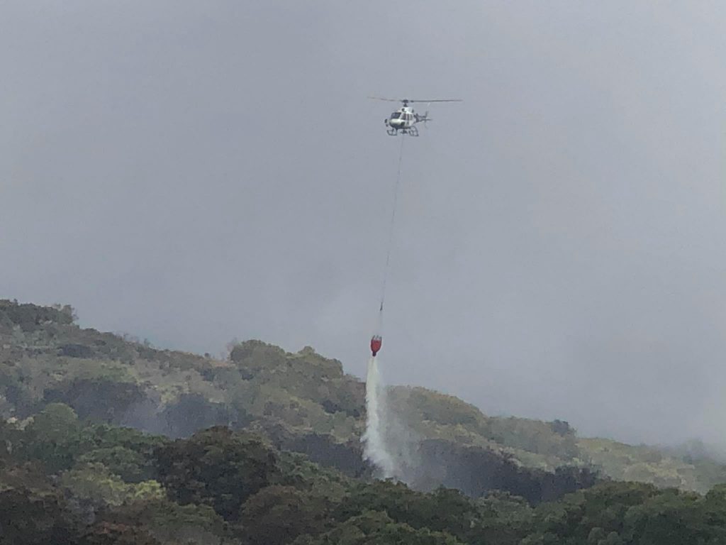 Près de 200 hectares ont été ravagés par les flammes