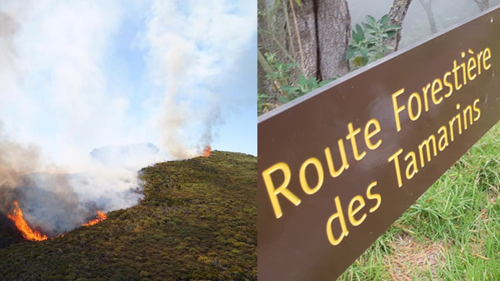 Maïdo : La route forestière reste fermée à toute circulation