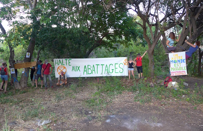 Forêt de Casabona : Mobilisation et replantation ce dimanche sur le tracé de la route 
