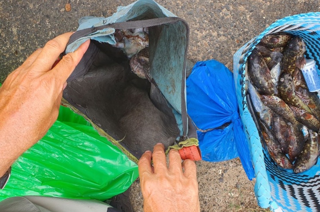 Des braconniers surpris en pleine pêche illégale à Saint-Pierre