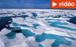 Arctique : Fonte record de la banquise en 2012