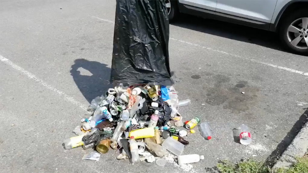 Le ​Port : En 35 minutes de marche, il ramasse un sac poubelle entier de déchets