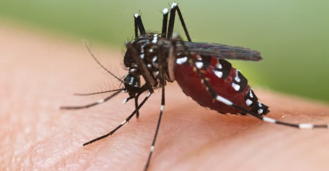 "Protégeons notre canton 4 de la dengue"