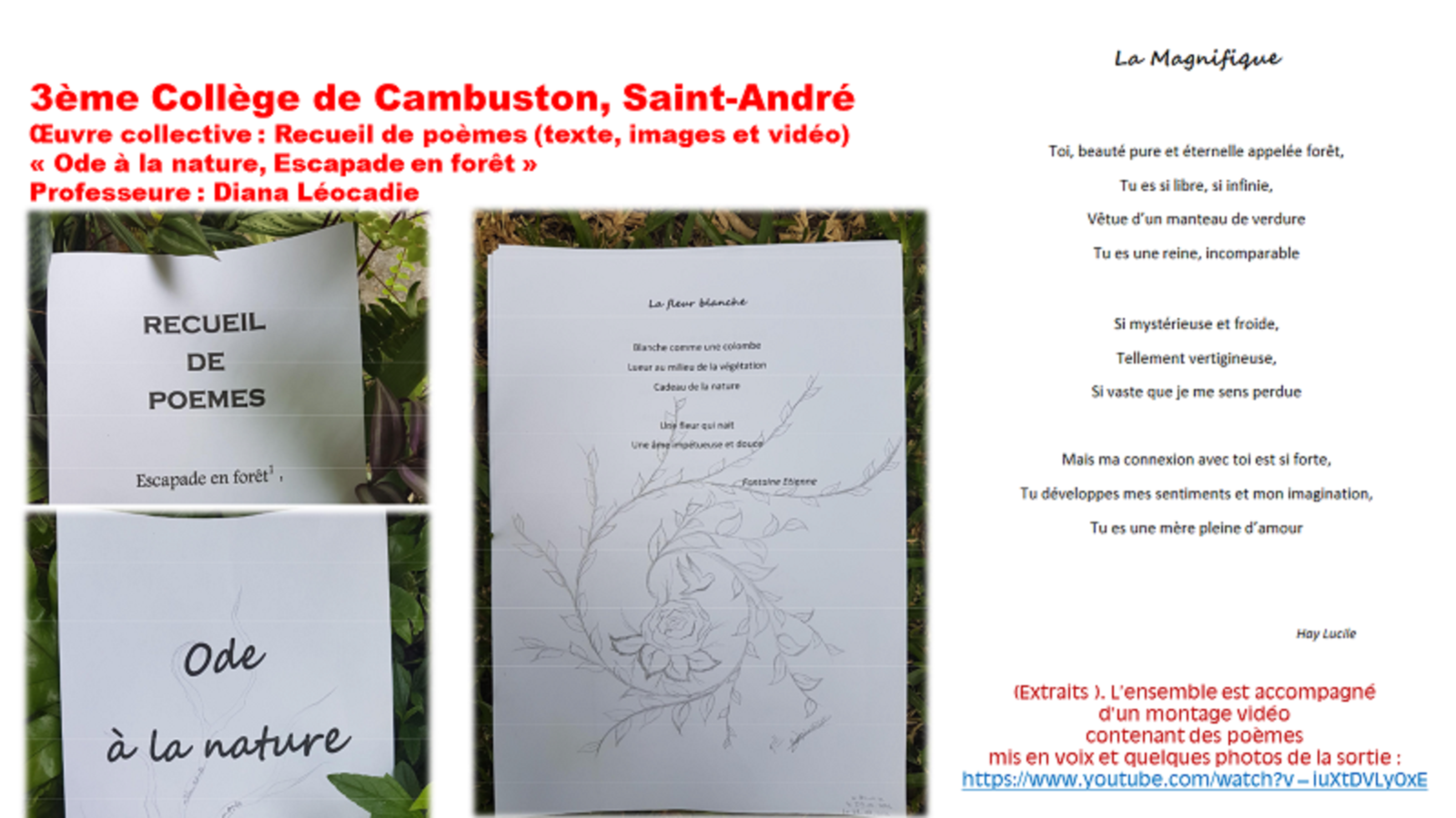 Concours "écrits pour la fraternité" organisé par la LDH: 4 oeuvres de La Réunion primées au niveau national