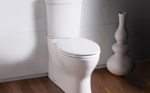 L'ONU instaure une journée mondiale des toilettes pour sensibliser sur les manques sanitaires
