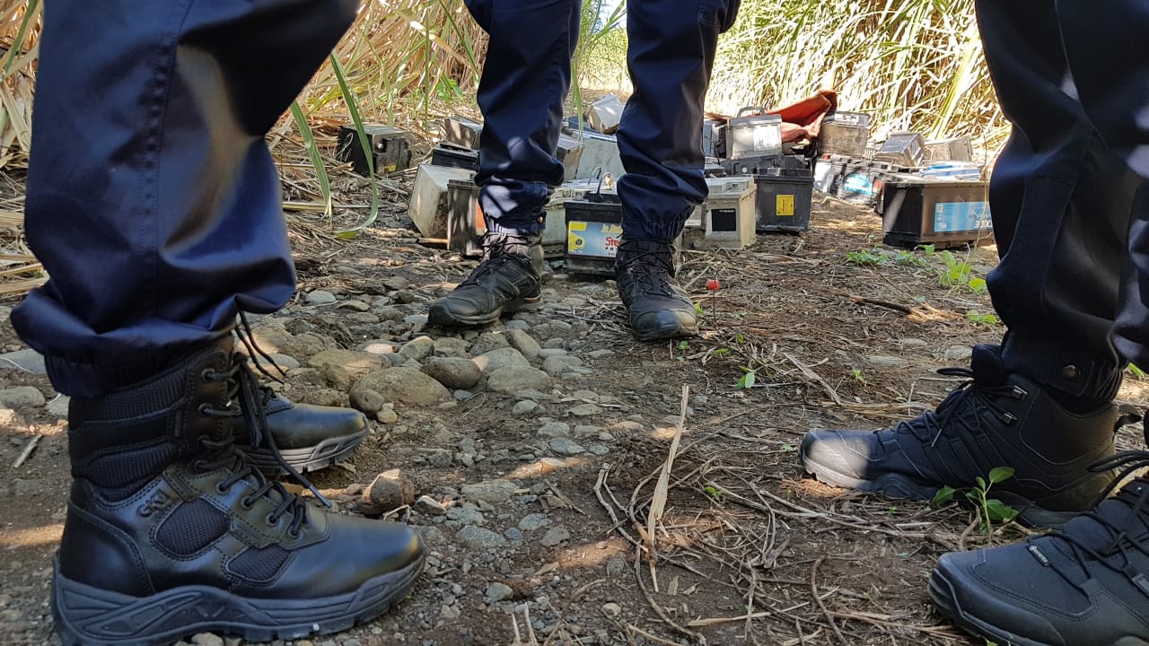 Makote puissance 1000 : Une centaine de batteries retrouvées dans un champ de cannes à Ste-Marie