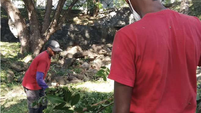 World Clean Up Day : Saint-Denis lutte contre les déchets et la dengue