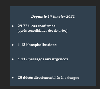 Dengue à La Réunion : 38 cas en 2 semaines